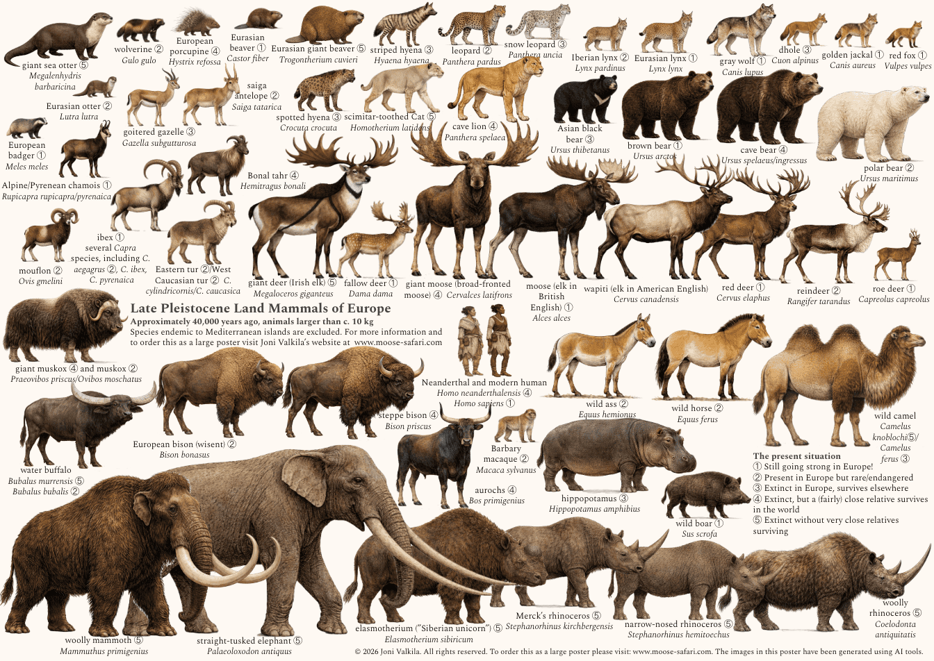 Land mammals during the late ice age, including megafauna, in Europe alone